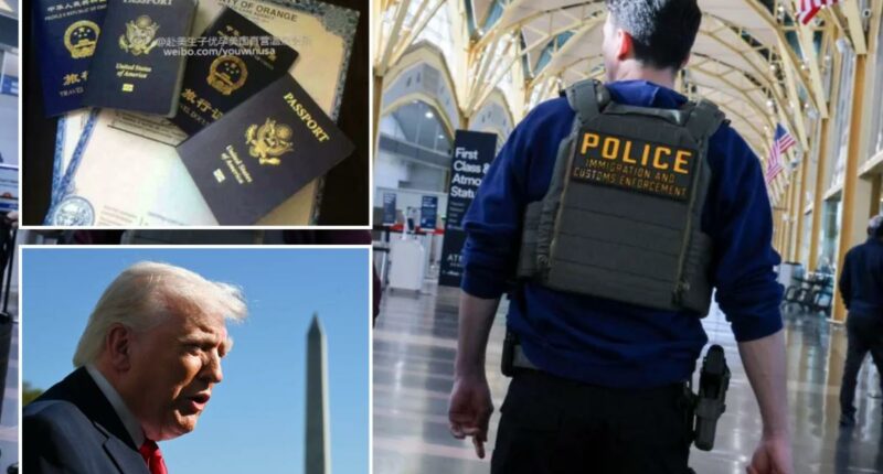 ICE launches new effort to crack down on US âbirth tourism schemesâ